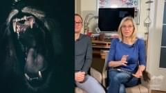 Mindset-Grundkurs - Mindset & Wissenschaft